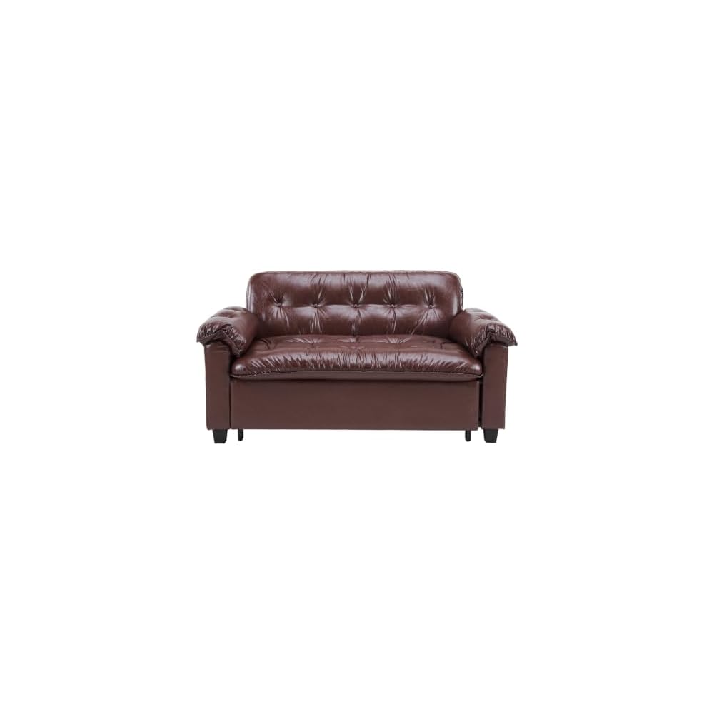 VINGLI 63" Loveseat Sleeper with Pull Out Couch Bed, Plush Tufted Comfort